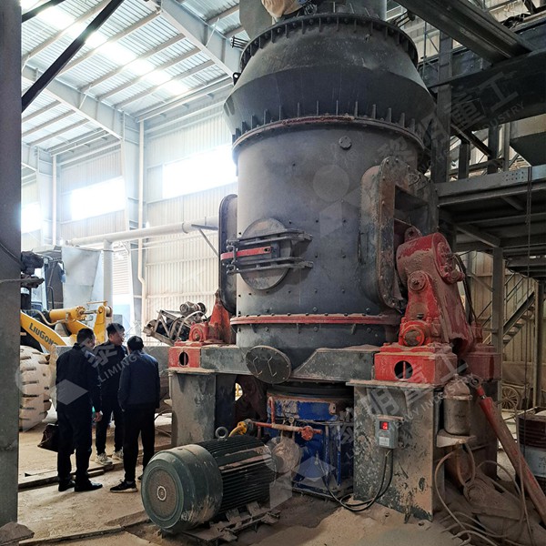 Vertical roller mill system for limestone grinding with dust collector and separator