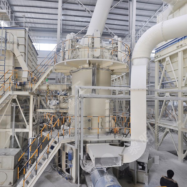 Vertical roller mill for limestone powder production