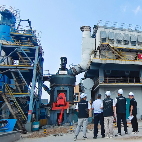 Liming LM vertical roller mill for limestone grinding