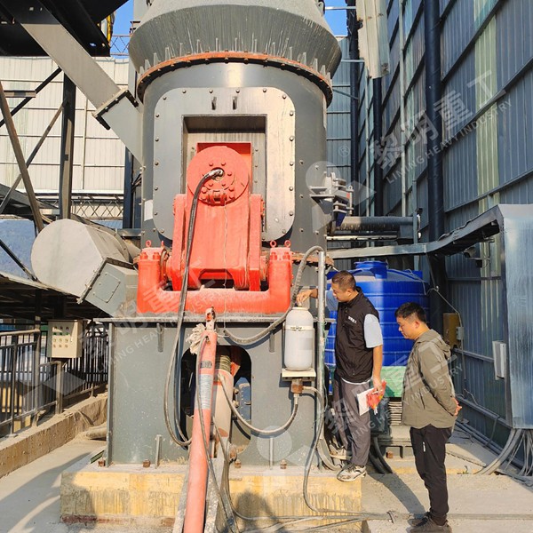 Professional limestone grinding plant with vertical mill